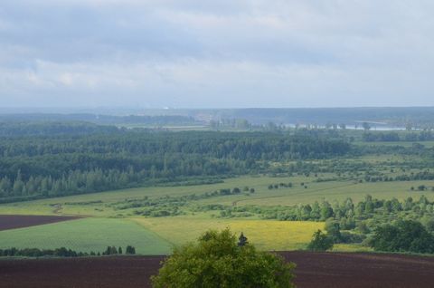 Вид на долину р.Кама (Воткинский район)